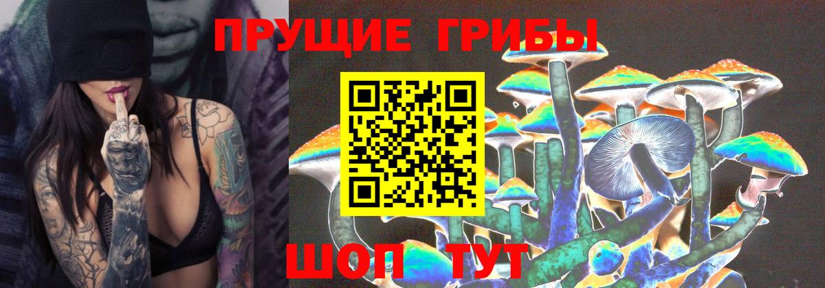 Галлюциногенные грибы GOLDEN TEACHER  Галлюциногенные грибы ЛСД  Кашира  Вход с VPN 